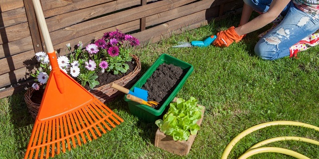 A Rake Near A Garden While Someone Is Gardening